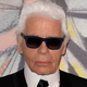 Illustration for article titled Karl Lagerfeld’s Cat Has a Makeup Line